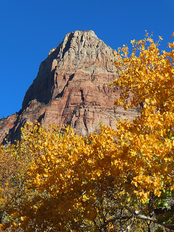 This is one of the first views you have from the Zion National Park visitor's center near Springdale, Utah.<br>(photo property of JoesWorldTour.com – all rights reserved) 