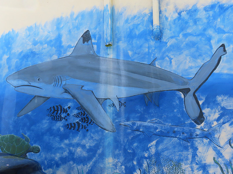 Mural in Fort Lauderdale near the beach.<br>(photo property of JoesWorldTour.com)