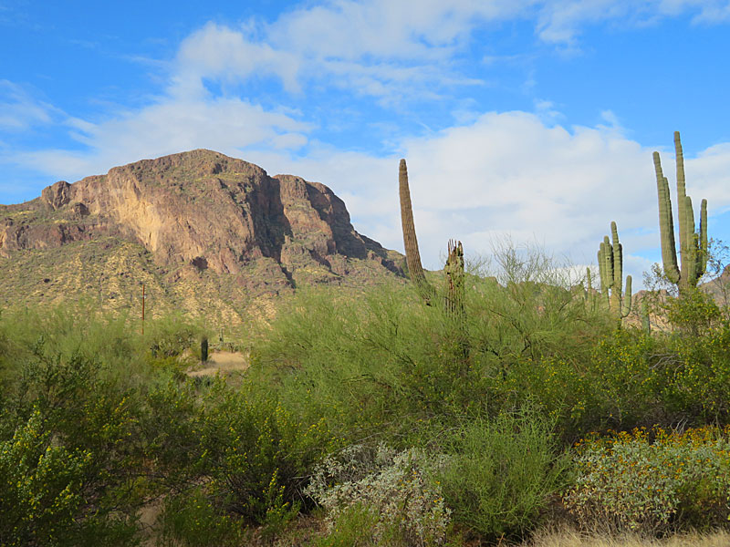 Picacho Peak State Park in Arizona. - photo by Joe Alexander