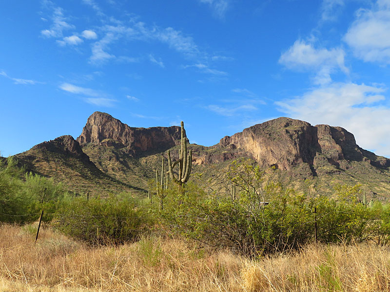 Picacho Peak and saguaro cactus after the sun came out. - photo by Joe Alexander